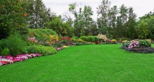 Apželdinimas ir gerbūvio darbai – Kaune