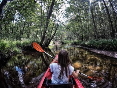 baidarių nuoma plaukti Verkne