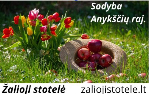 zaliojistotele- Sodyba, kubilas, pirtis prie Šventosios upės, baidarių nuoma