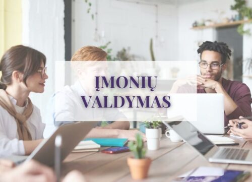 Įmonių valdymas (nuotoliniu būdu)