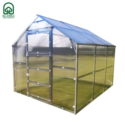 Naujiena  Šiltnamis Klasika Bernard