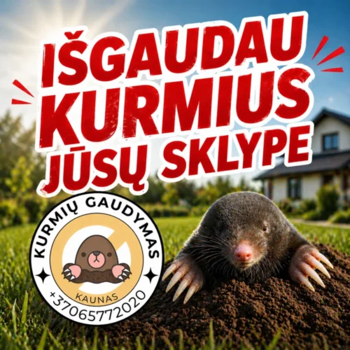 Kurmių gaudymas, naikinimas