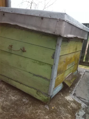 Tuščias bičių avilys.