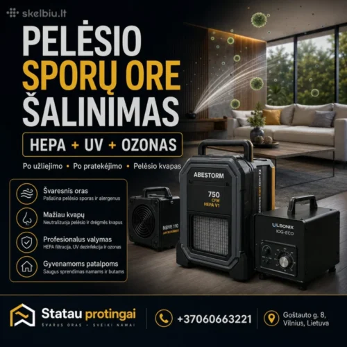 Pelėsio sporų šalinimas ore | HEPA + UV + Ozonas