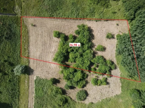 Parduodamas labai pigiai 36,98 a žemės sklypas šalia Šiaulių aplinkelio